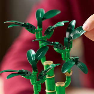 LEGO® Botanicals 10344 Bambusz boldogság