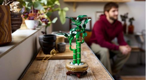 LEGO® Botanicals 10344 Bambusz boldogság