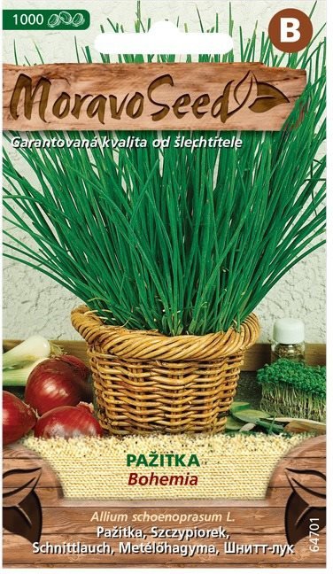 Semena MORAVOSEED CZ Pažitka BOHEMIA