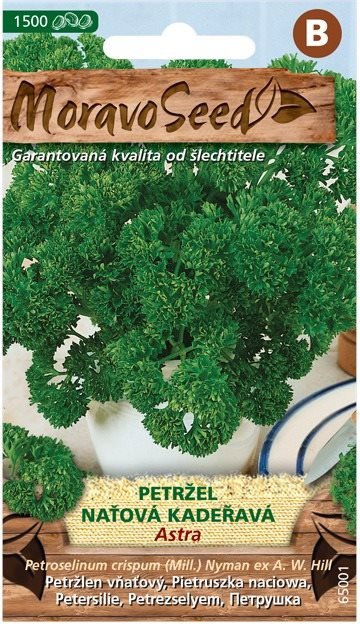 Semena MORAVOSEED CZ Petržel naťová kadeřavá ASTRA