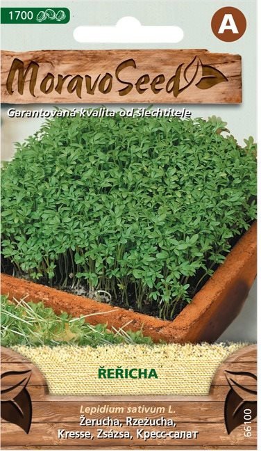 Semena MORAVOSEED CZ Řeřicha setá