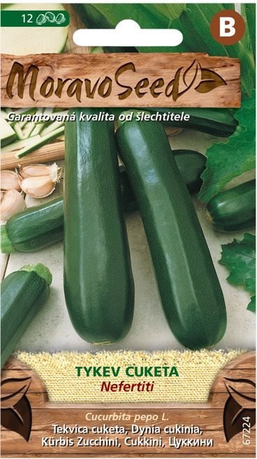 Semena MORAVOSEED CZ Tykev cuketa zelená NEFERTITI