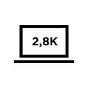 ikona