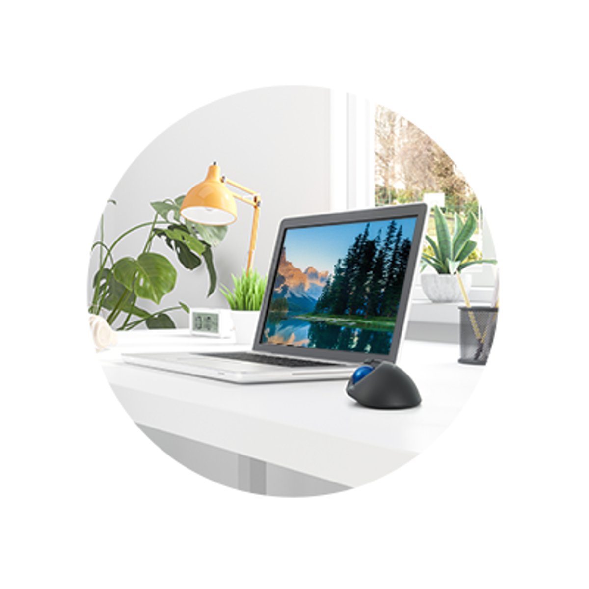 Trackball Kensington ProFit Ergo TB450 EQ