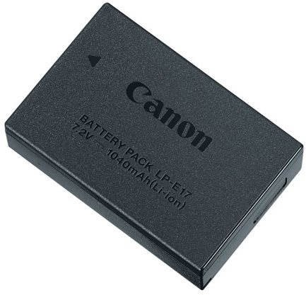 Canon EOS R8 digital camera