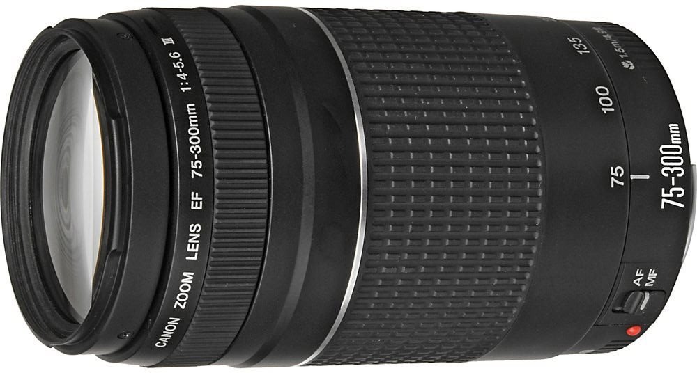 Objektiv Canon EF 75-300mm f/4.0 - 5.6 III Zoom