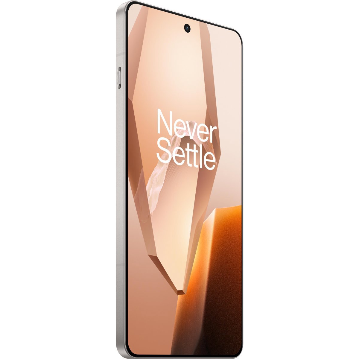 Mobilní telefon OnePlus 13R