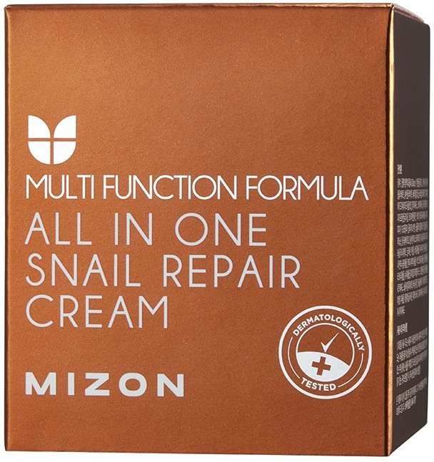 Pleťový krém MIZON All In One Snail Repair Cream 75 ml