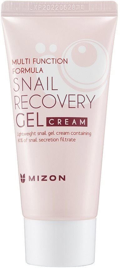 Pleťový gel MIZON Snail Recovery Gel Cream 45 ml
