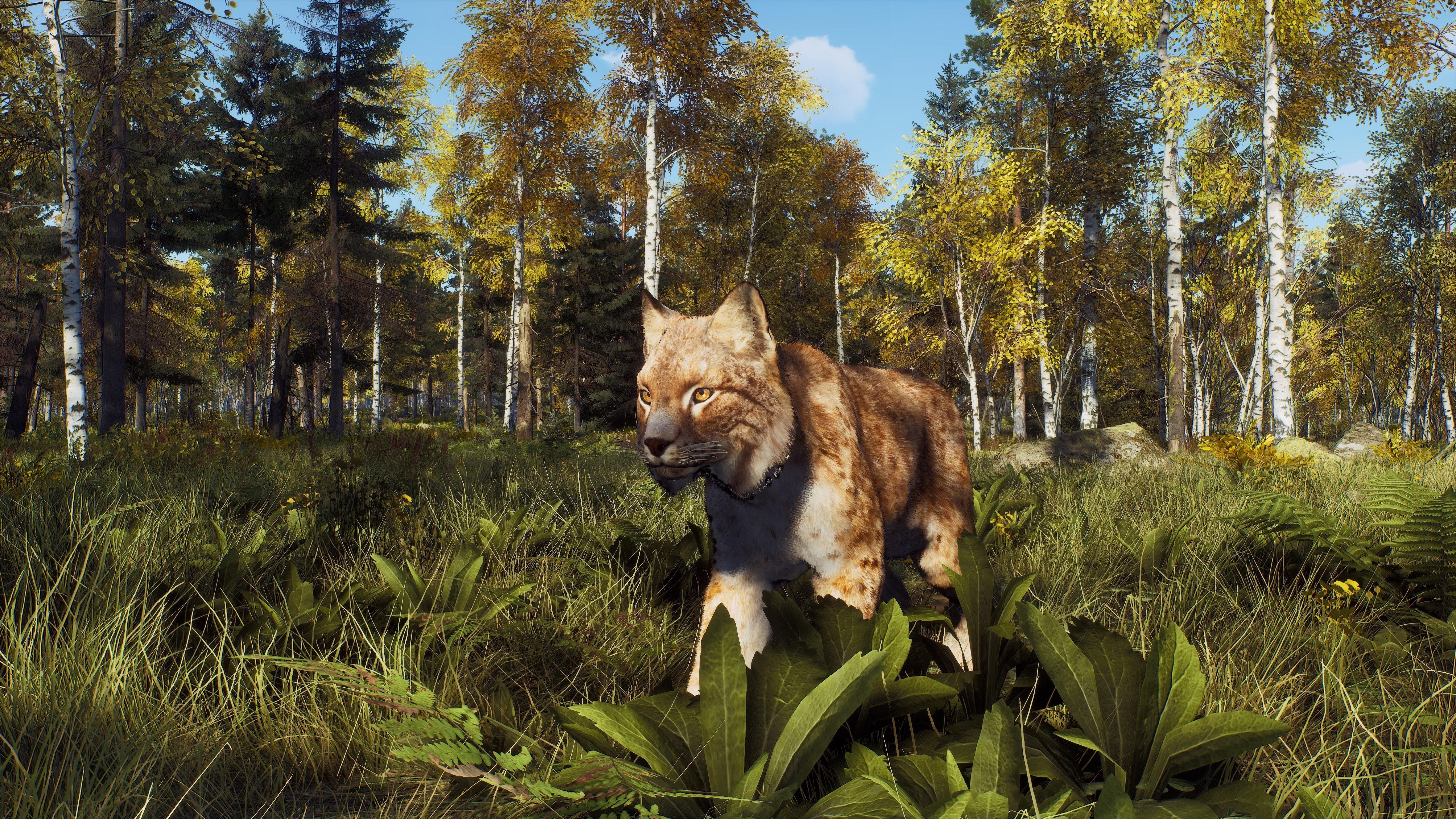 Way of the Hunter Wild Expeditions PS5
