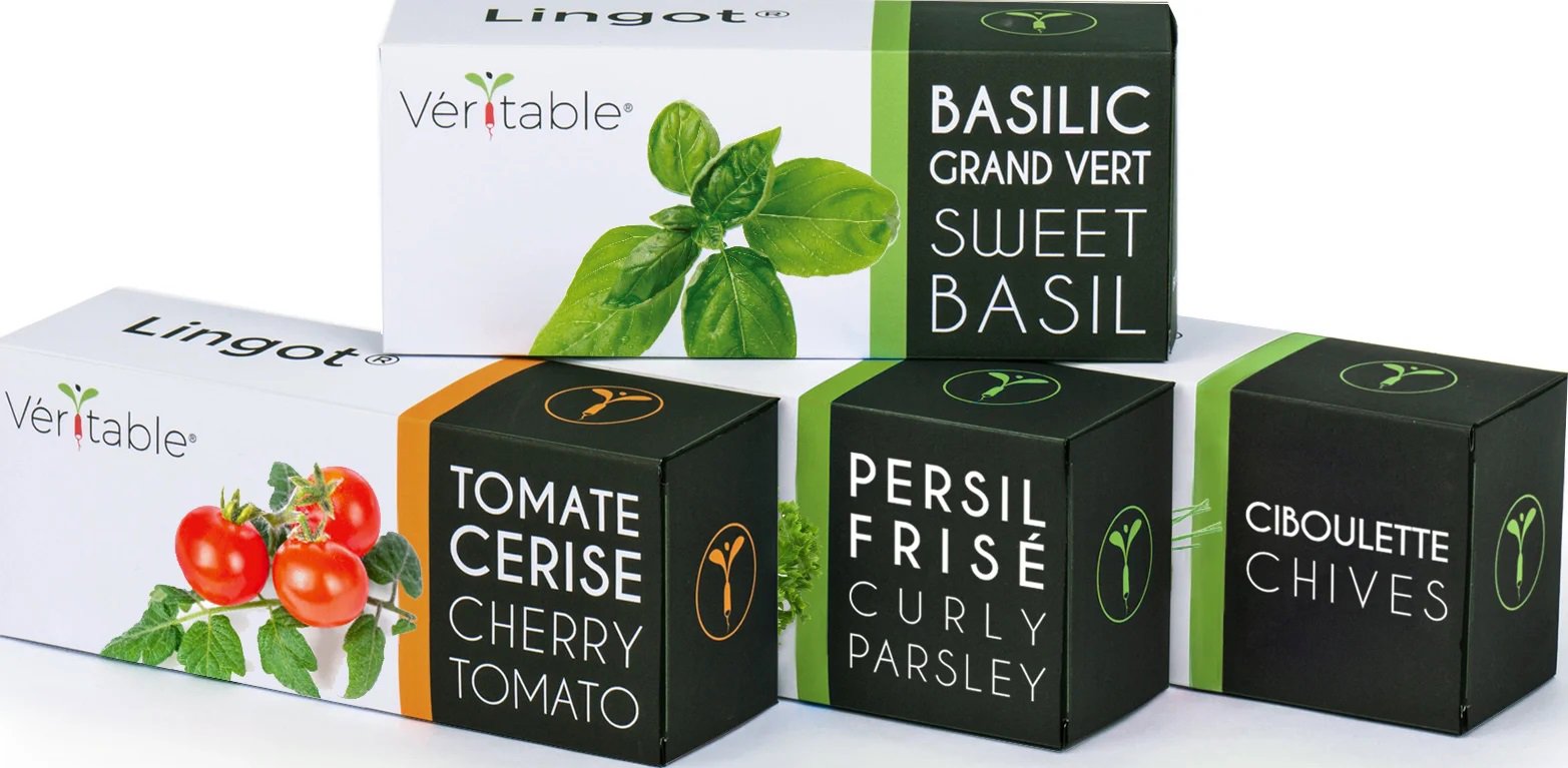 Sazenice Véritable Lingot Cayenne pálivé chilli