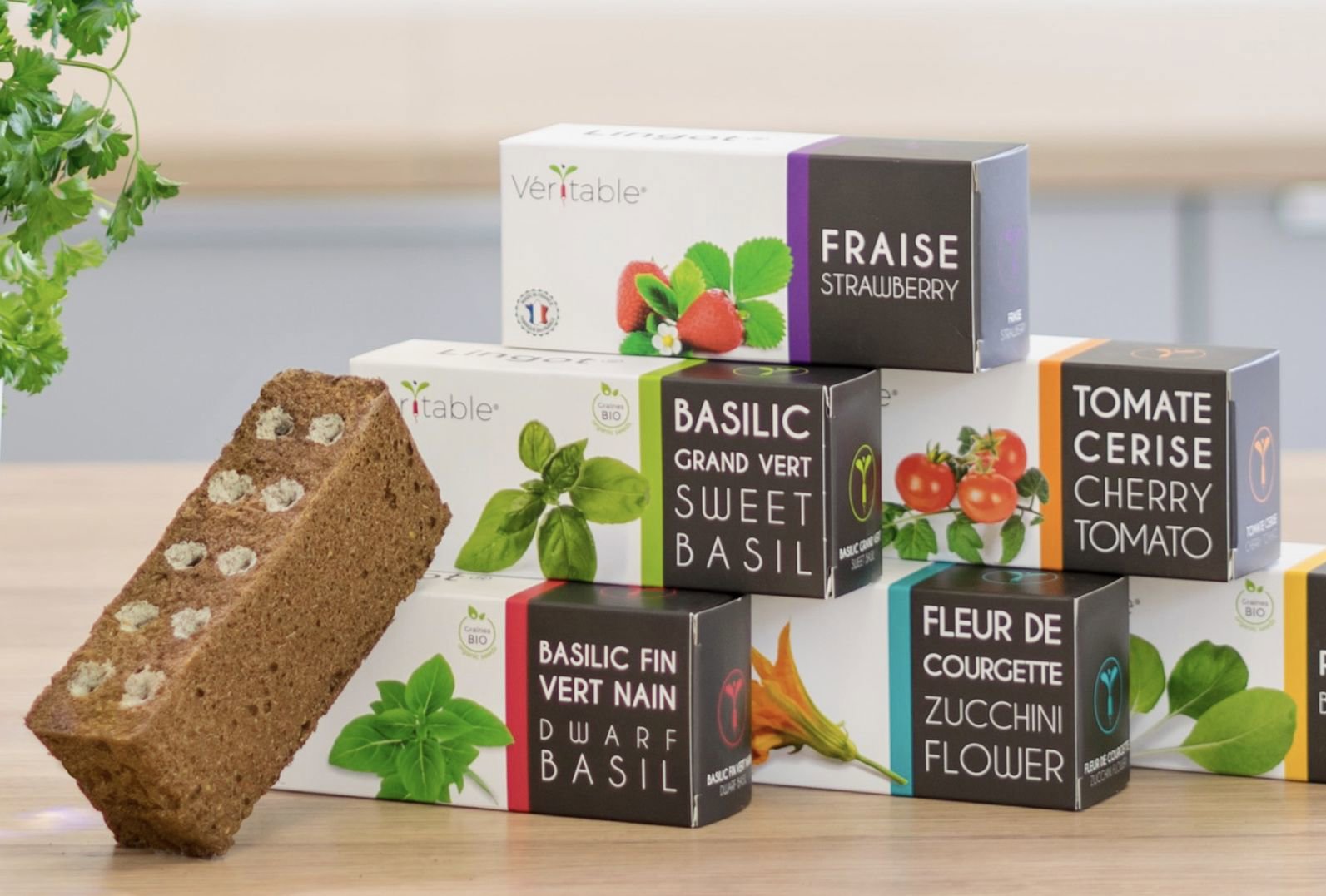 Sazenice Véritable Lingot Cayenne pálivé chilli