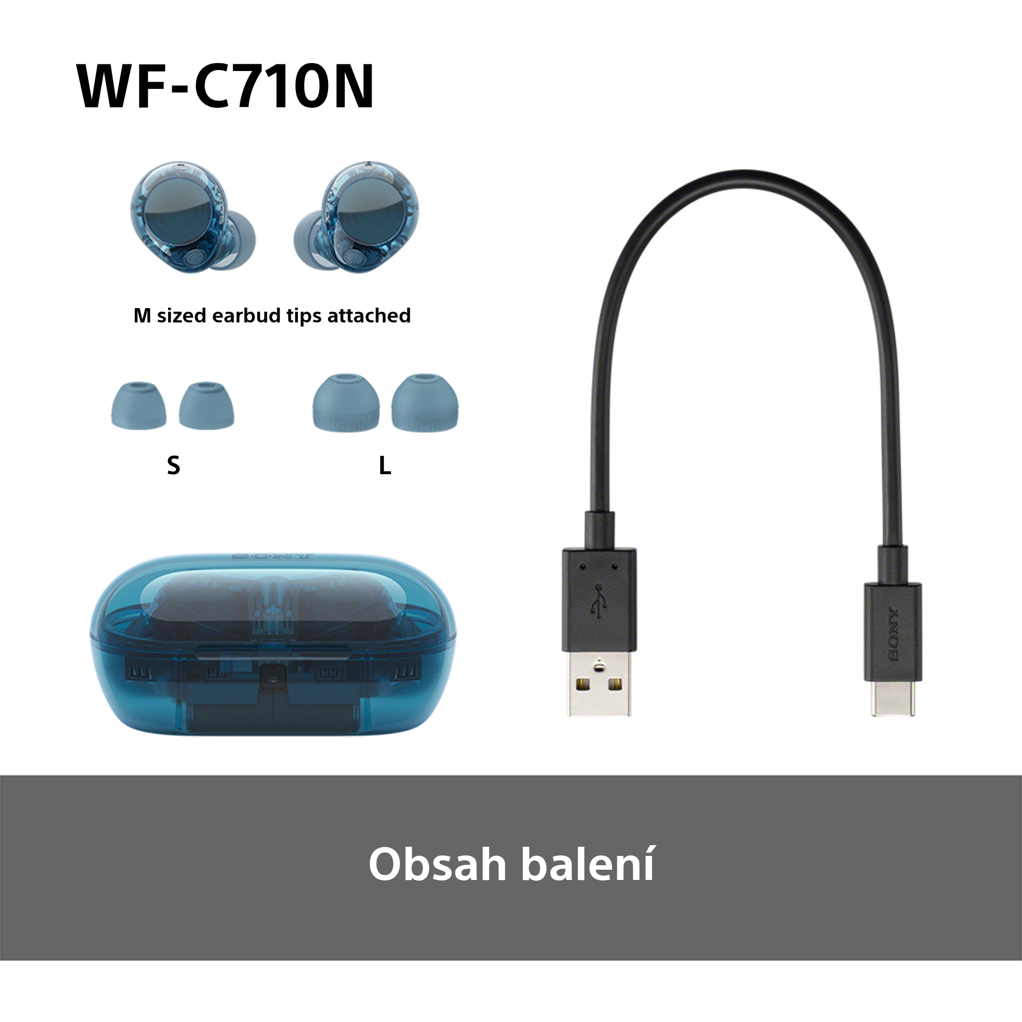 Sony Noise Cancelling Wireless Headphones WF-C710N