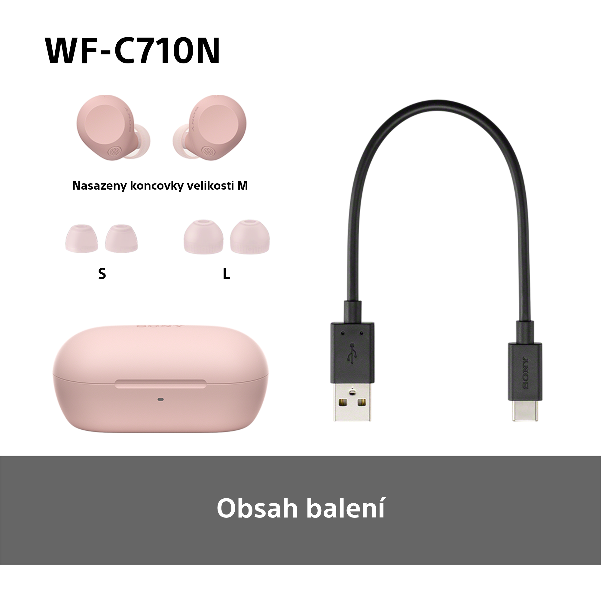 Sony Noise Cancelling Wireless Headphones WF-C710N
