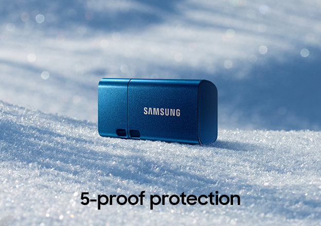 Flash disk Samsung USB Type-C Flash Drive