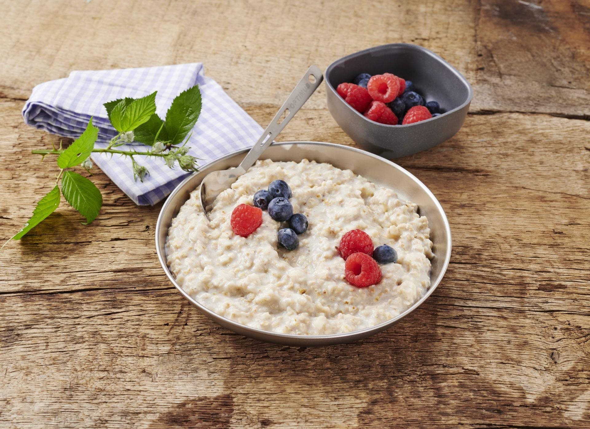 MRE Trek'n eat Breakfast Oatmeal Bowl