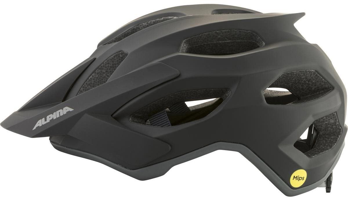 Alpina Apax Mips black matt