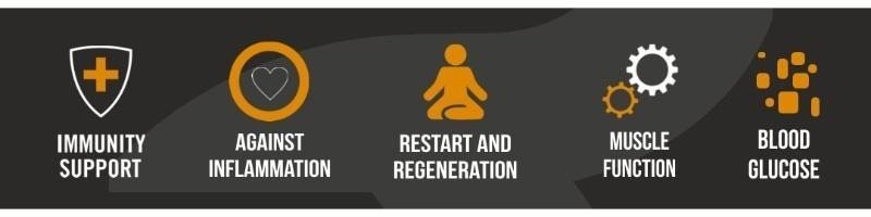 Reflex Nexgen PRO + Digestive Enzymes
