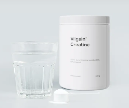 1Kreatin Vilgain Creatine 500 g
