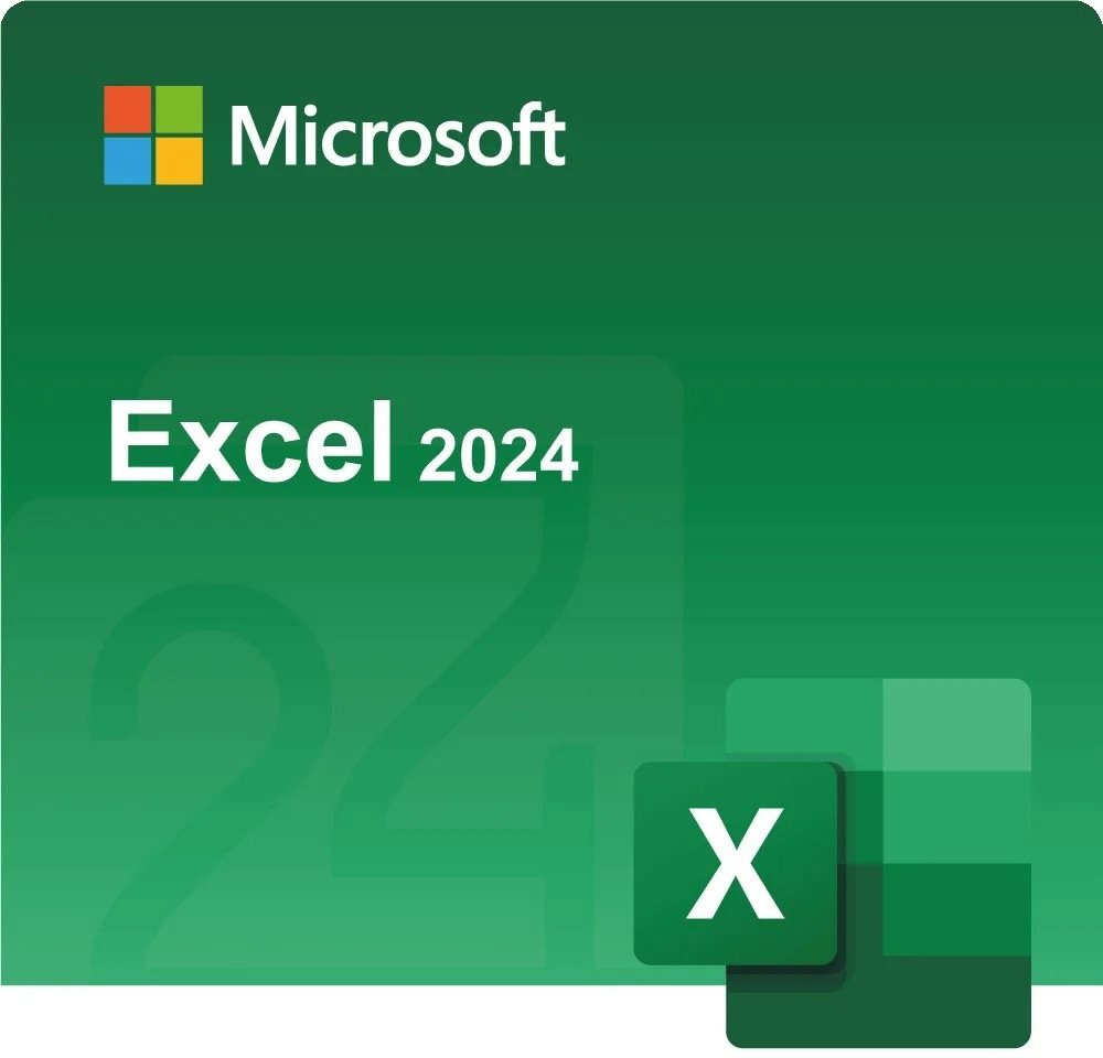 Office software Microsoft Excel LTSC 2024 (electronic licence)