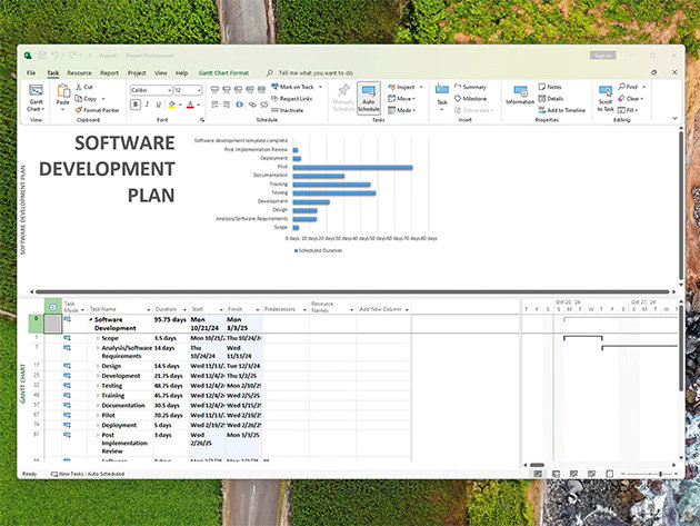 Office software Microsoft Project Professional 2024 (electronic licence)