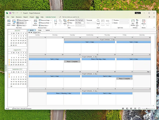 Office software Microsoft Project Standard 2024, EDU - schools only (electronic licence)