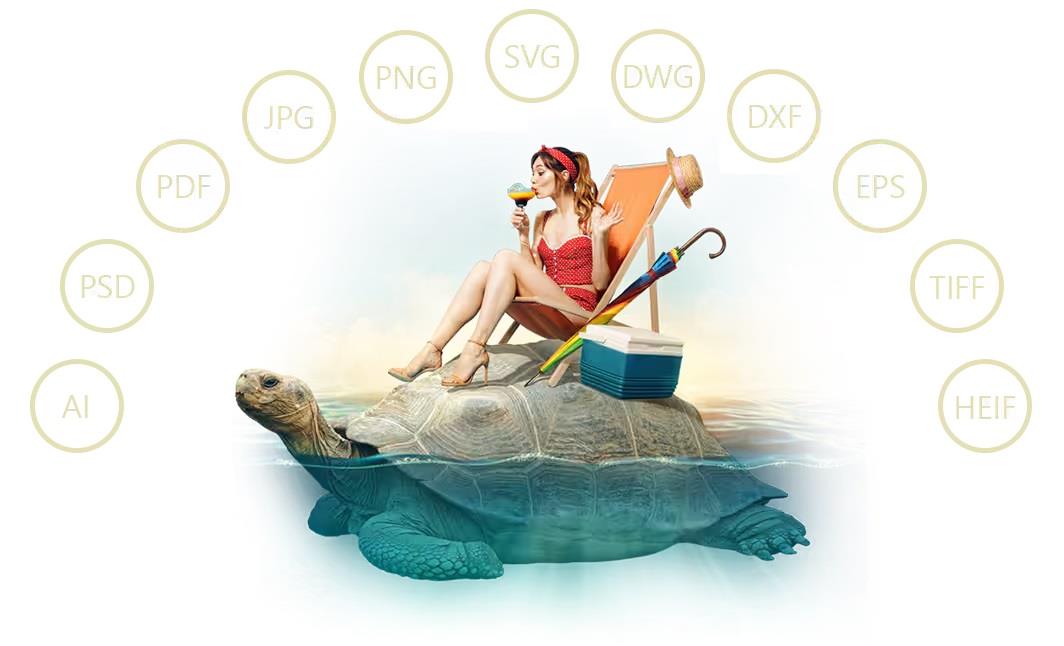Grafický software CorelDRAW Graphics Suite 2024 Minibox, Win/Mac, CZ/EN/DE (BOX)