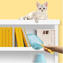 Prachovka Swiffer Duster
