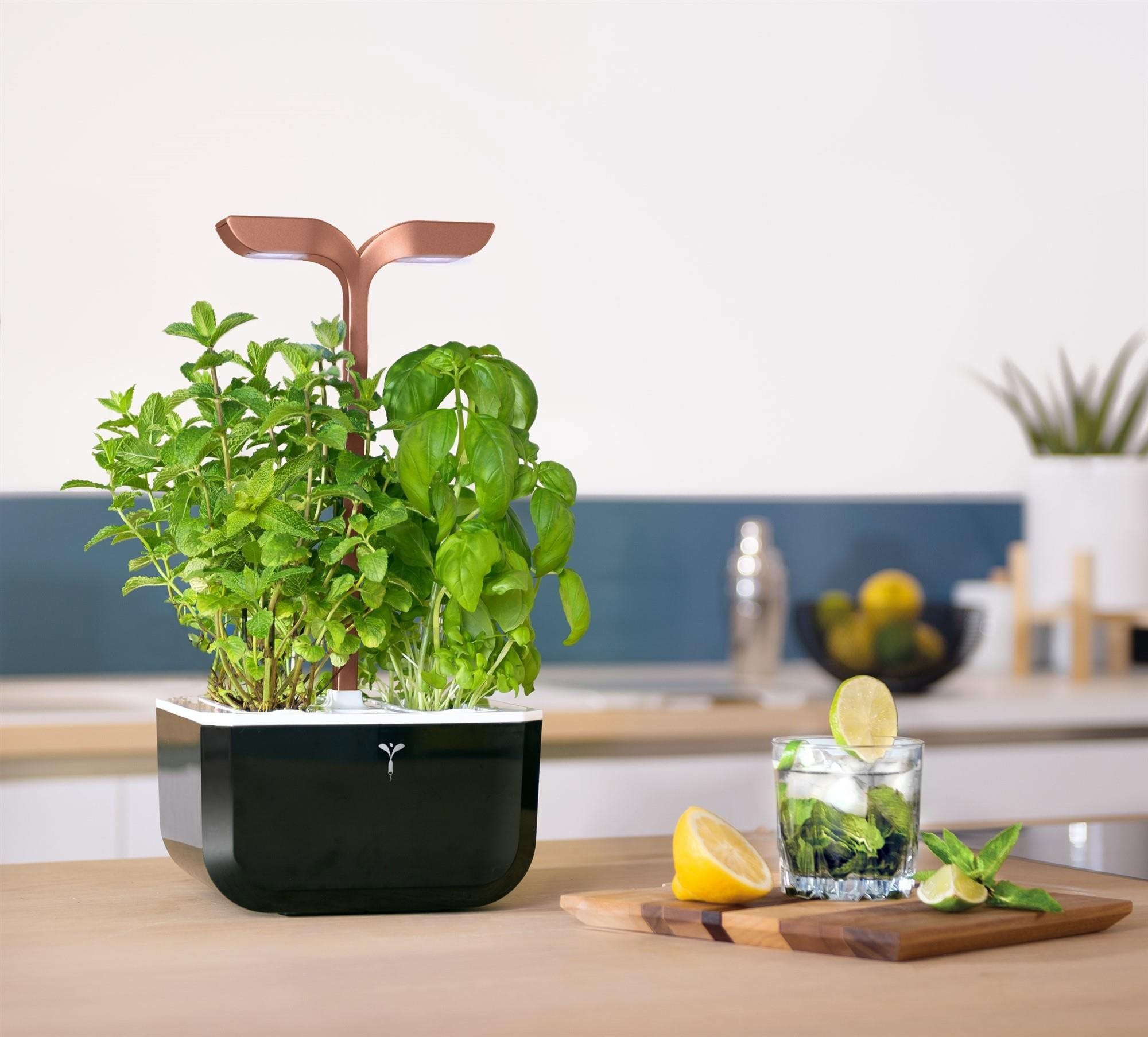 Chytrý květináč Exky Smart Automatický květináč s regulací osvětlení černě měděný + 2 bylinkové náplně