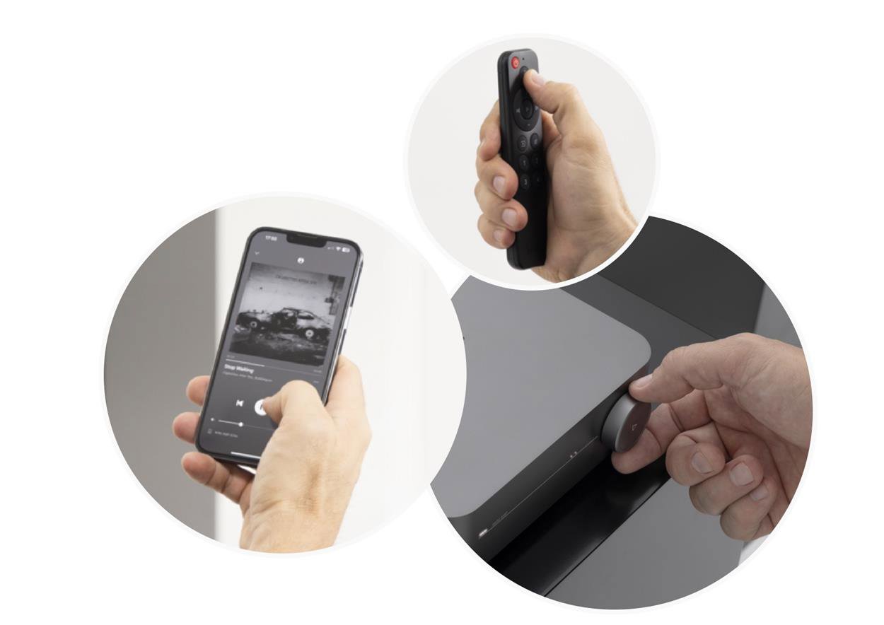 You can control the Wii Amp Pro in several different ways