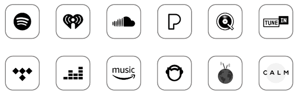 Wiim Amp Pro supports streaming from all popular platforms