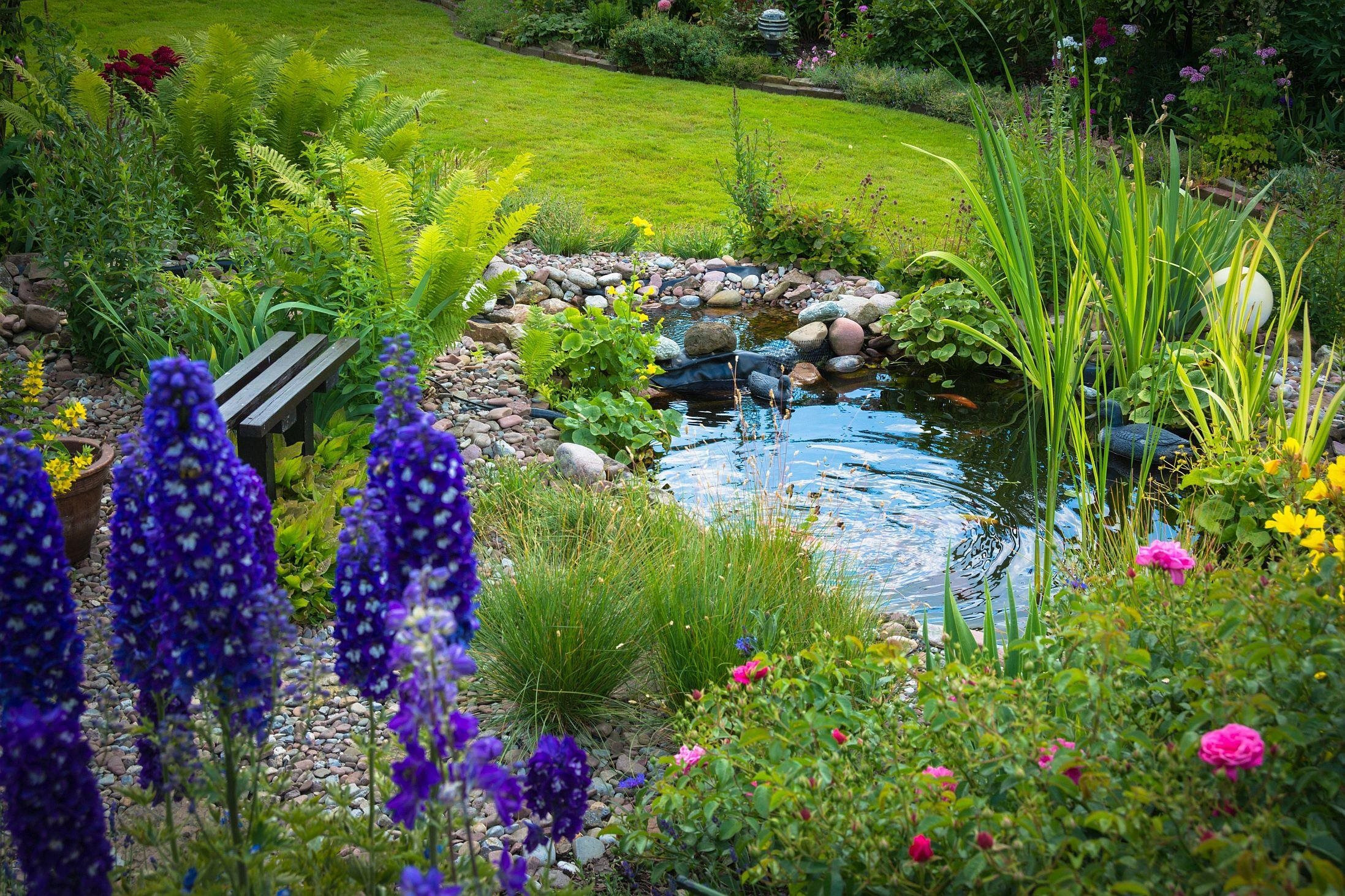 Heissner Pond natural shape B1001-00 1000 l