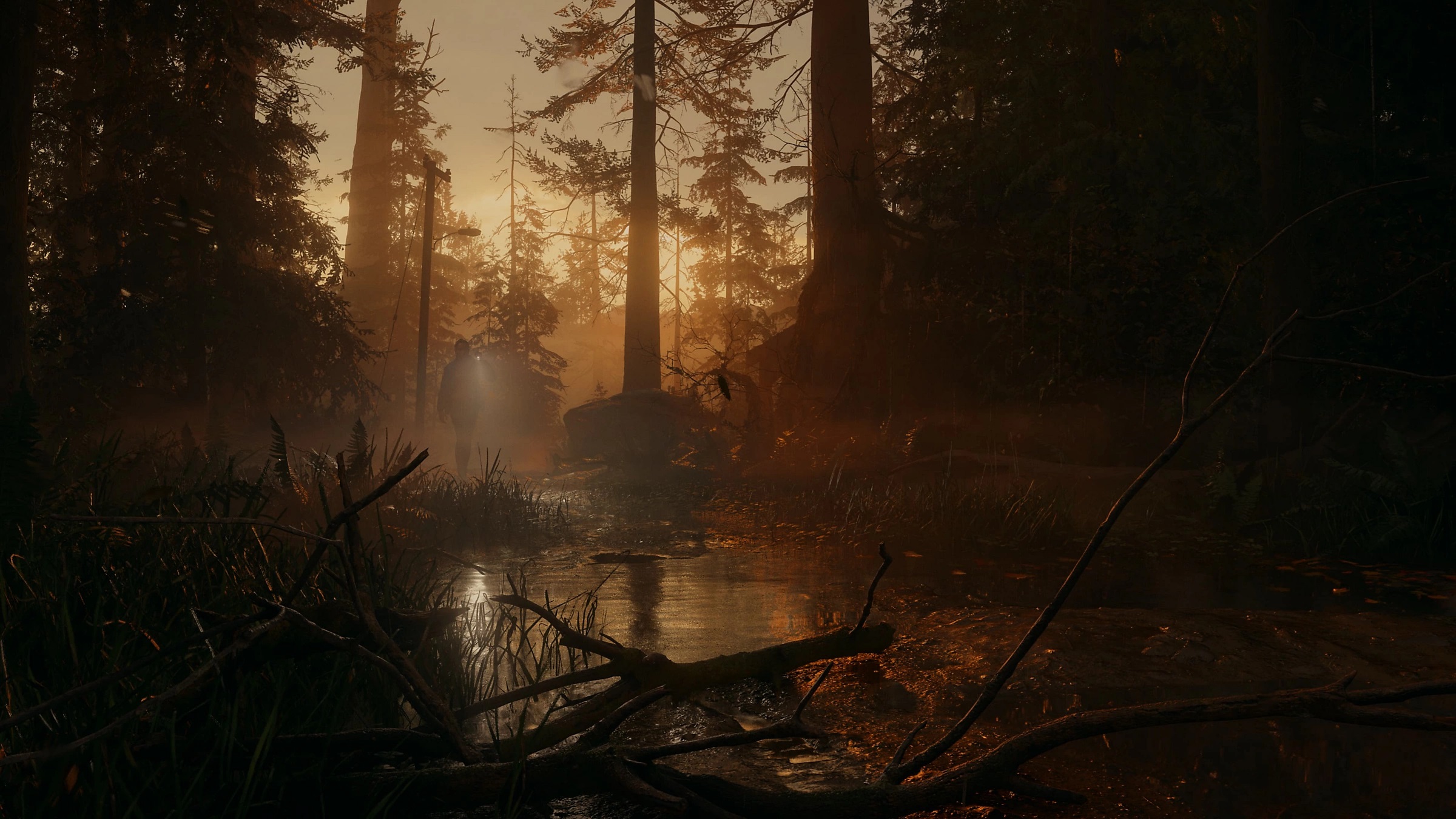 Alan Wake 2 - Deluxe Edition  Xbox Series X