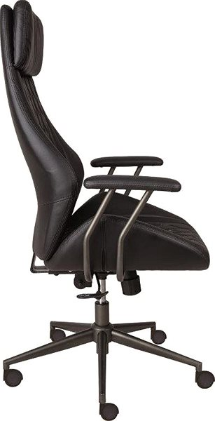 Office Chair ALBA Python Lateral view