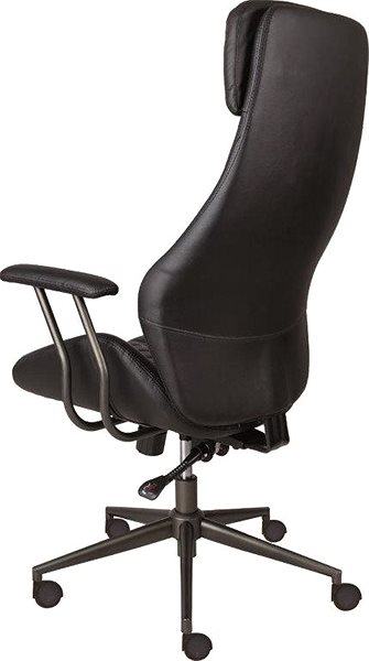 Office Chair ALBA Python Back page
