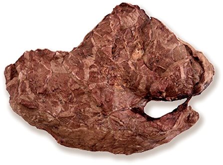 Sušené mäso pre psov Dog Snaq Hovädzie pľúca sušené, 80 g ...