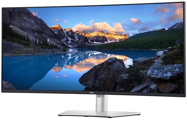 LCD Monitor 40“ Dell UltraSharp U4021QW Screen