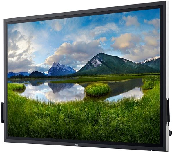 Large-Format Display 65