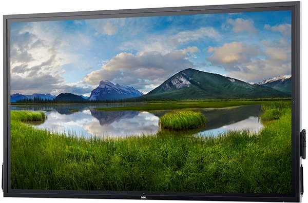 Large-Format Display 75