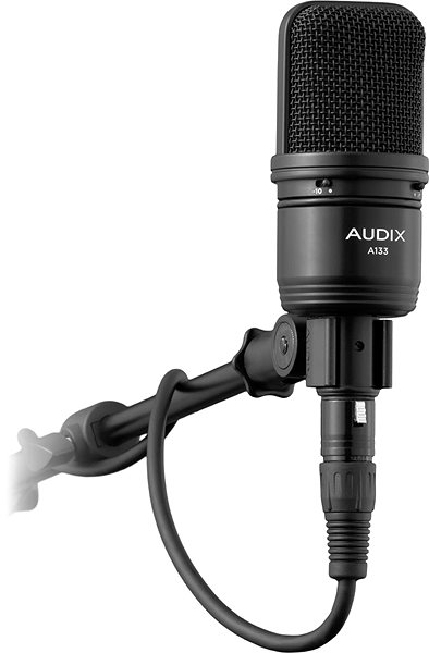 Mikrofon AUDIX A133 Seitlicher Anblick