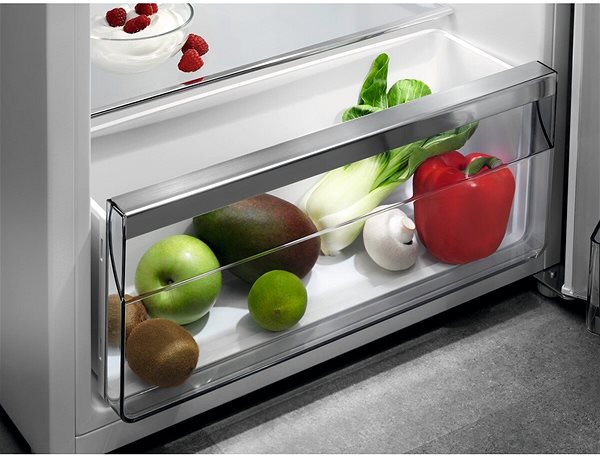 Refrigerator AEG RTB414F1AW Features/technology