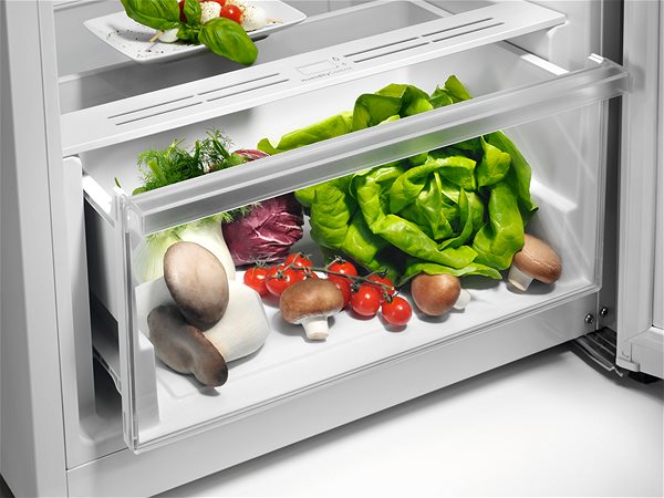 Refrigerator AEG 6000 RKB333E2DW ...