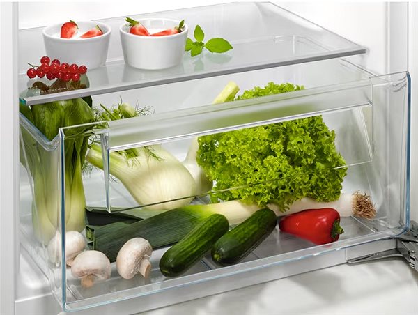 Built-in fridge AEG NSF5O121ES .