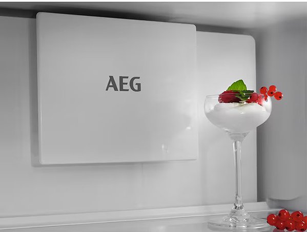 Built-in fridge AEG TC6MS18FDS .