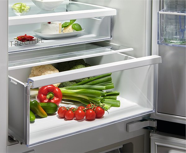 Built-in fridge AEG TC6MS18FDS .