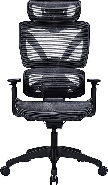 Office Chair AlzaErgo Chair Delta 1 black ...