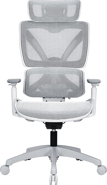 Office Chair AlzaErgo Chair Delta 1 grey ...