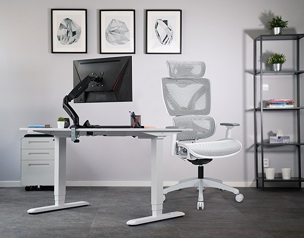Office Chair AlzaErgo Chair Delta 1 grey ...