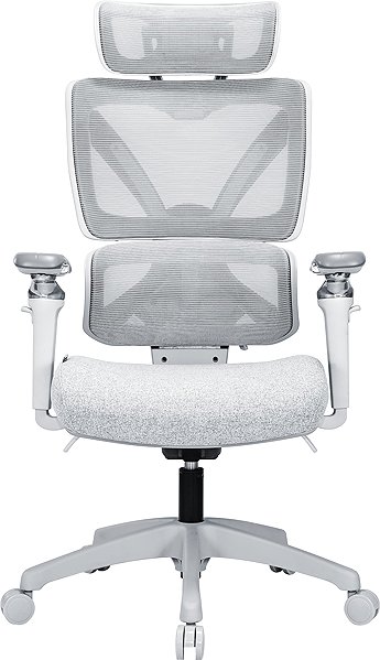 Office Chair AlzaErgo Chair Delta 1 Plus grey ...
