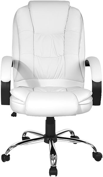 Office Armchair Aga DS5005 white ...